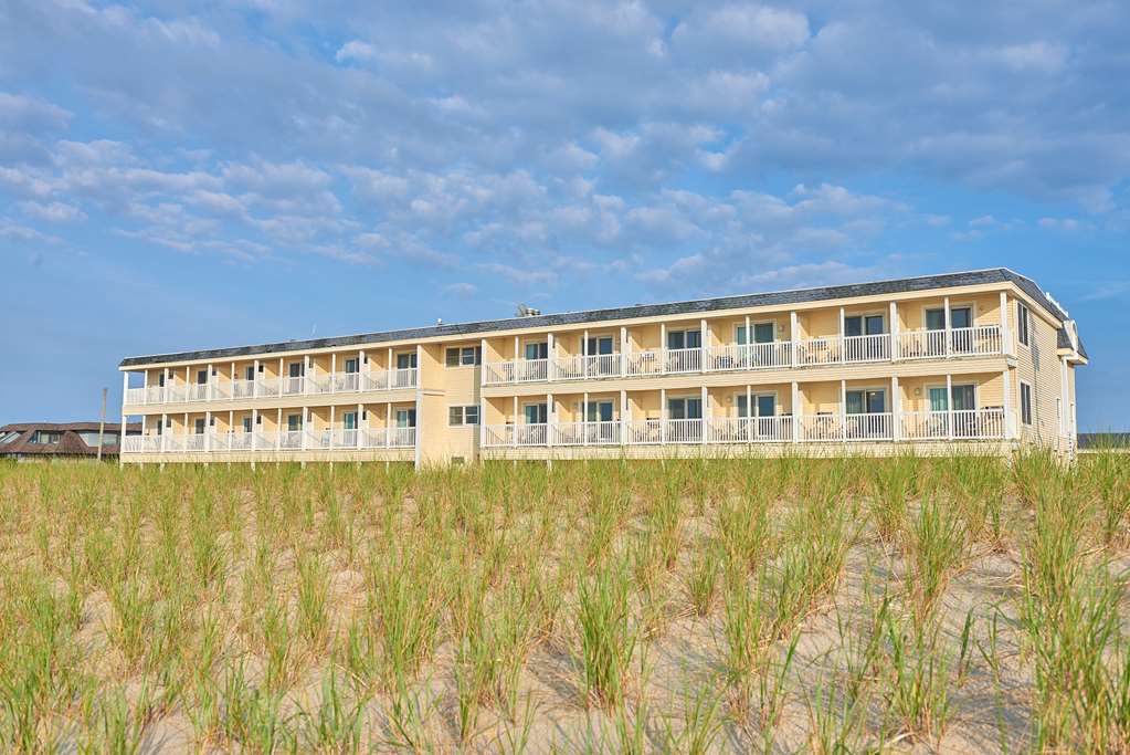 Drifting Sands Oceanfront Hotel Ship Bottom Εξωτερικό φωτογραφία